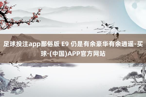 足球投注app鄙俗版 E9 仍是有余豪华有余逍遥-买球·(中国)APP官方网站