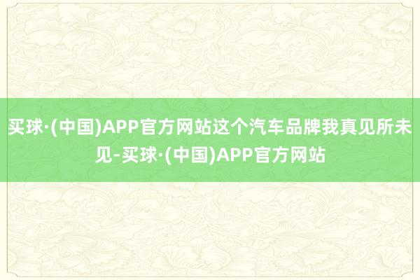 买球·(中国)APP官方网站这个汽车品牌我真见所未见-买球·(中国)APP官方网站