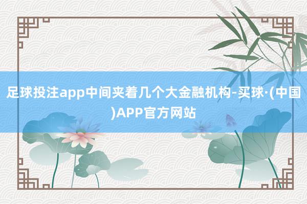 足球投注app中间夹着几个大金融机构-买球·(中国)APP官方网站