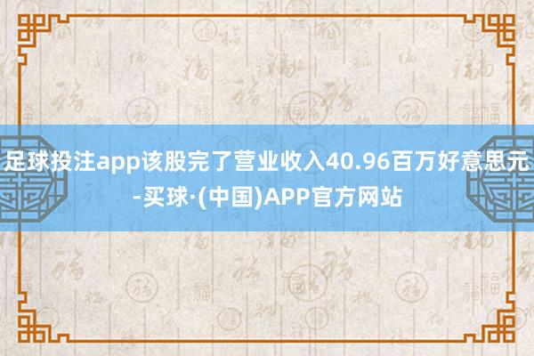 足球投注app该股完了营业收入40.96百万好意思元-买球·(中国)APP官方网站