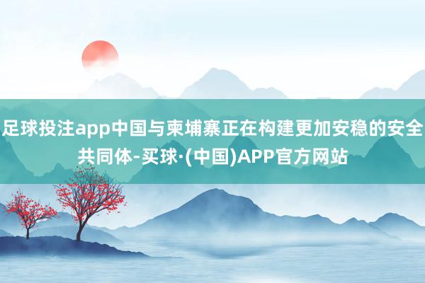 足球投注app中国与柬埔寨正在构建更加安稳的安全共同体-买球·(中国)APP官方网站