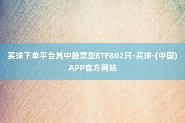 买球下单平台其中股票型ETF802只-买球·(中国)APP官方网站