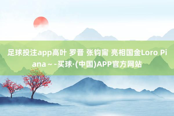 足球投注app高叶 罗晋 张钧甯 亮相国金Loro Piana～-买球·(中国)APP官方网站