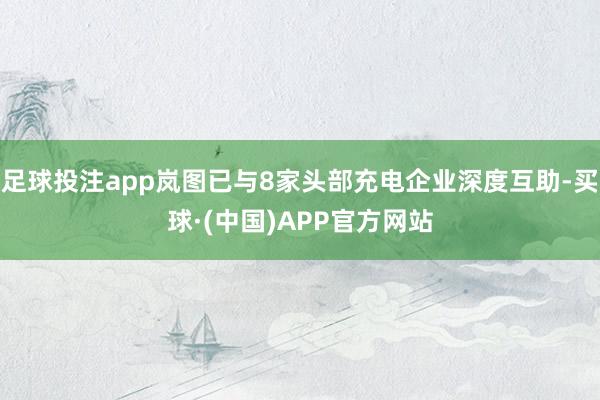 足球投注app岚图已与8家头部充电企业深度互助-买球·(中国)APP官方网站