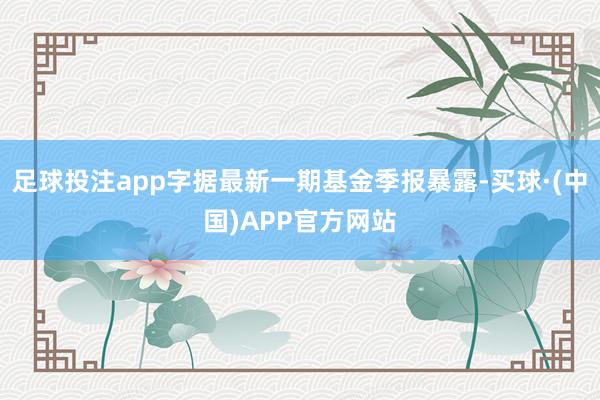 足球投注app字据最新一期基金季报暴露-买球·(中国)APP官方网站