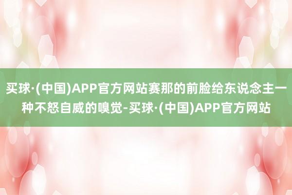 买球·(中国)APP官方网站赛那的前脸给东说念主一种不怒自威的嗅觉-买球·(中国)APP官方网站