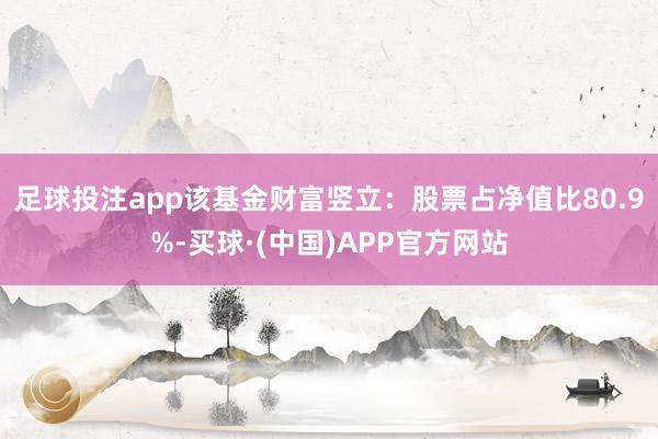 足球投注app该基金财富竖立：股票占净值比80.9%-买球·(中国)APP官方网站