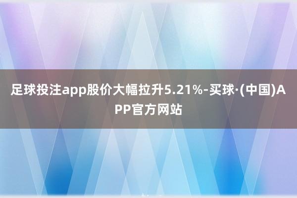 足球投注app股价大幅拉升5.21%-买球·(中国)APP官方网站