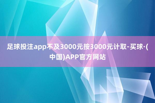 足球投注app不及3000元按3000元计取-买球·(中国)APP官方网站