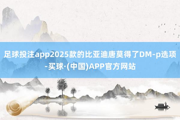 足球投注app2025款的比亚迪唐莫得了DM-p选项-买球·(中国)APP官方网站