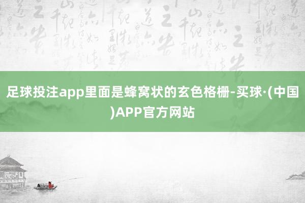 足球投注app里面是蜂窝状的玄色格栅-买球·(中国)APP官方网站