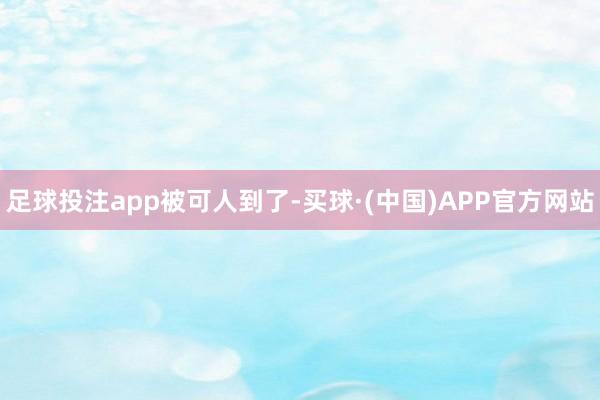 足球投注app被可人到了-买球·(中国)APP官方网站