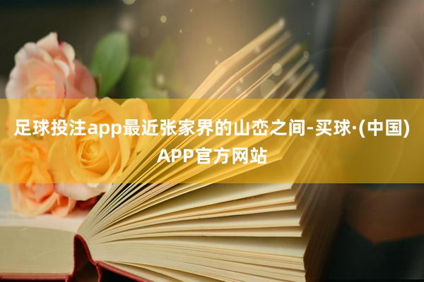 足球投注app最近张家界的山峦之间-买球·(中国)APP官方网站