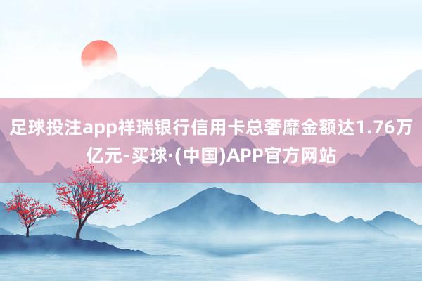 足球投注app祥瑞银行信用卡总奢靡金额达1.76万亿元-买球·(中国)APP官方网站