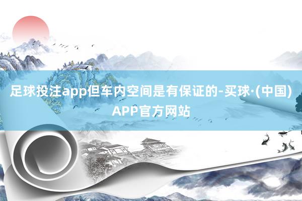 足球投注app但车内空间是有保证的-买球·(中国)APP官方网站