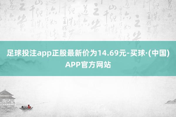 足球投注app正股最新价为14.69元-买球·(中国)APP官方网站