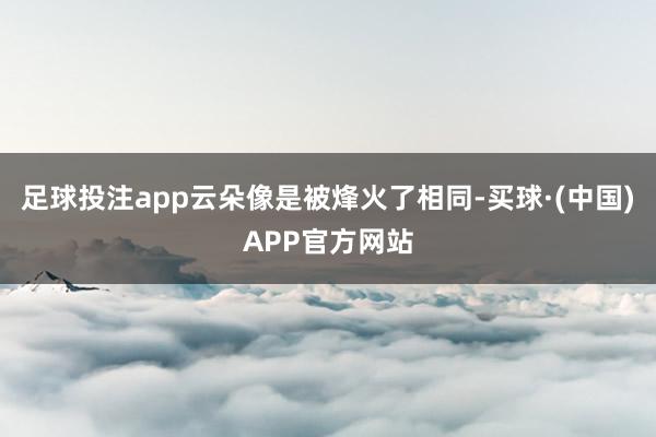 足球投注app云朵像是被烽火了相同-买球·(中国)APP官方网站