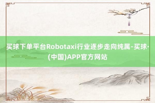 买球下单平台Robotaxi行业逐步走向纯属-买球·(中国)APP官方网站