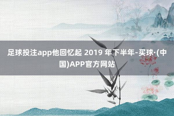 足球投注app他回忆起 2019 年下半年-买球·(中国)APP官方网站