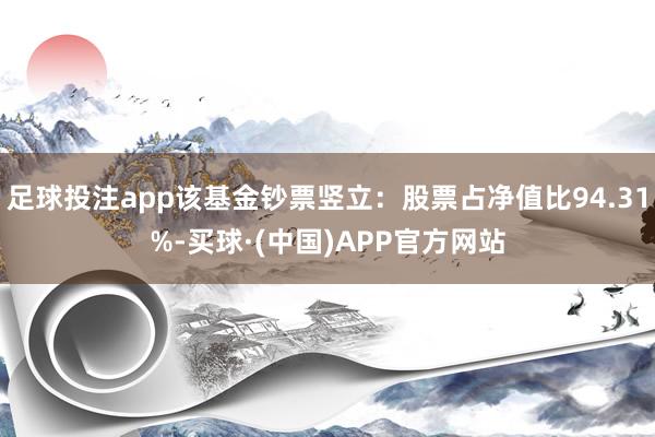 足球投注app该基金钞票竖立：股票占净值比94.31%-买球·(中国)APP官方网站