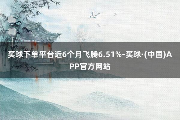 买球下单平台近6个月飞腾6.51%-买球·(中国)APP官方网站