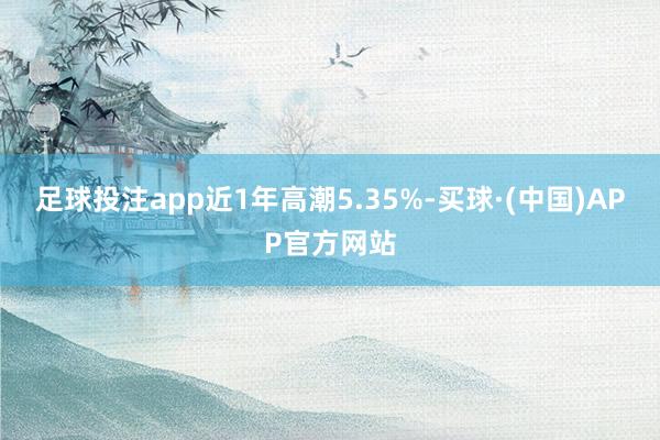 足球投注app近1年高潮5.35%-买球·(中国)APP官方网站