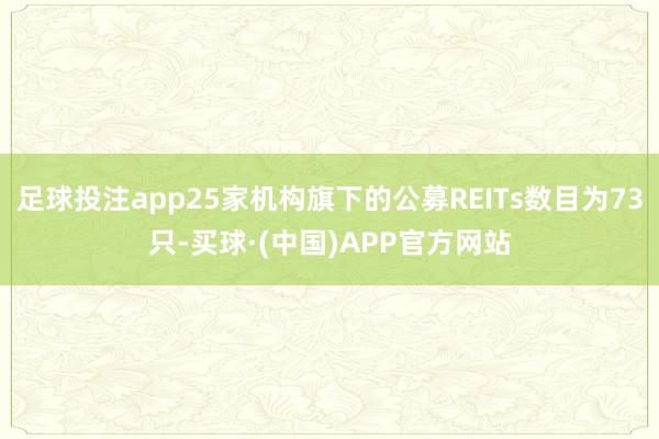 足球投注app25家机构旗下的公募REITs数目为73只-买球·(中国)APP官方网站