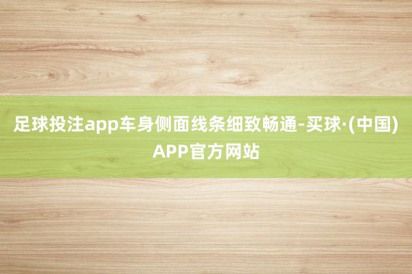 足球投注app车身侧面线条细致畅通-买球·(中国)APP官方网站