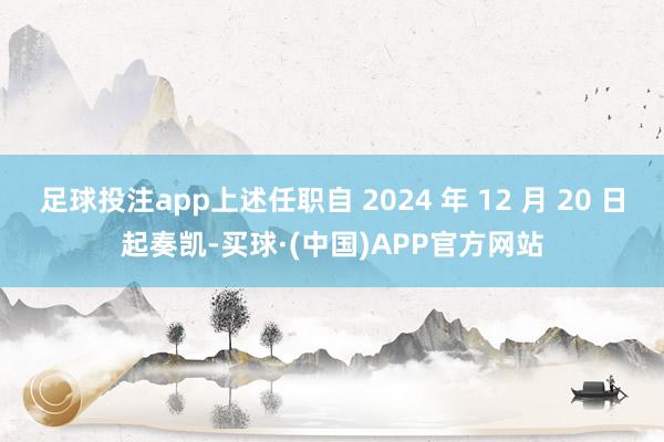 足球投注app上述任职自 2024 年 12 月 20 日起奏凯-买球·(中国)APP官方网站