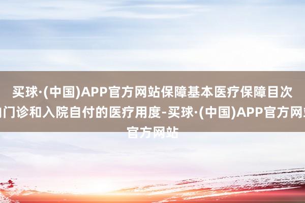 买球·(中国)APP官方网站保障基本医疗保障目次内门诊和入院自付的医疗用度-买球·(中国)APP官方网站