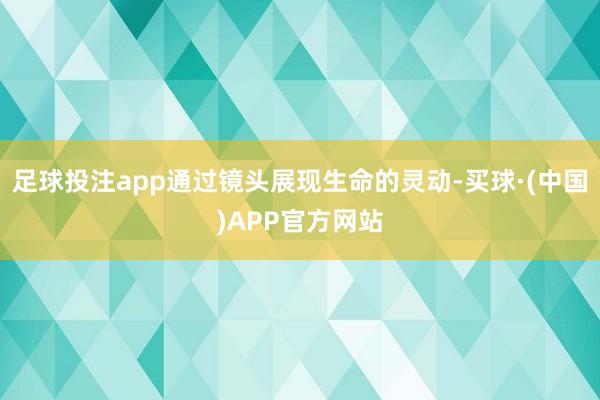 足球投注app通过镜头展现生命的灵动-买球·(中国)APP官方网站