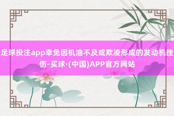 足球投注app幸免因机油不及或欺凌形成的发动机挫伤-买球·(中国)APP官方网站