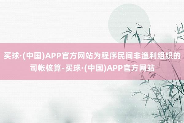 买球·(中国)APP官方网站为程序民间非渔利组织的司帐核算-买球·(中国)APP官方网站