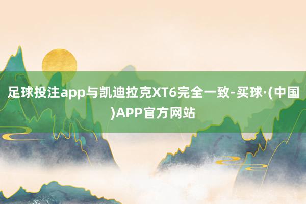 足球投注app与凯迪拉克XT6完全一致-买球·(中国)APP官方网站