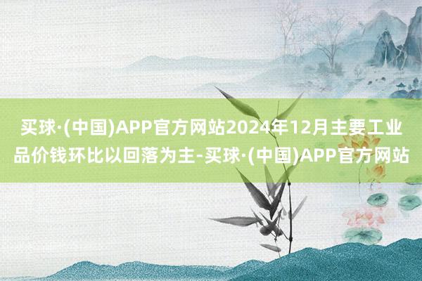 买球·(中国)APP官方网站2024年12月主要工业品价钱环比以回落为主-买球·(中国)APP官方网站