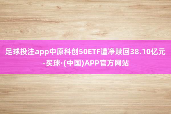 足球投注app中原科创50ETF遭净赎回38.10亿元-买球·(中国)APP官方网站