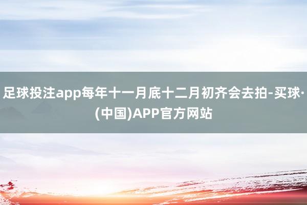 足球投注app每年十一月底十二月初齐会去拍-买球·(中国)APP官方网站