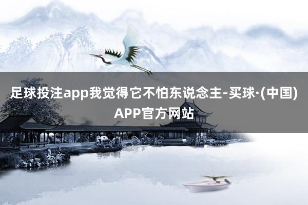 足球投注app我觉得它不怕东说念主-买球·(中国)APP官方网站