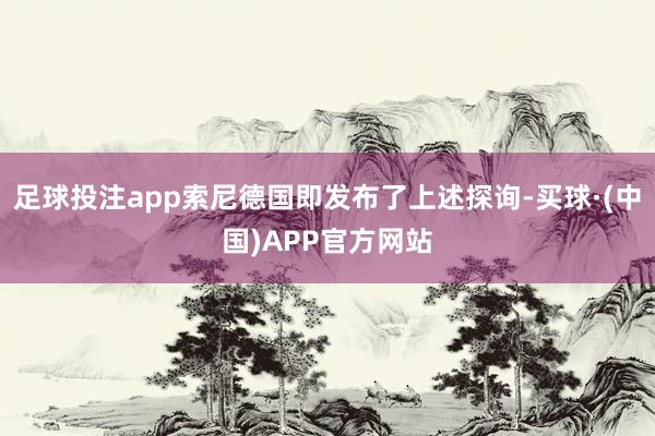 足球投注app索尼德国即发布了上述探询-买球·(中国)APP官方网站